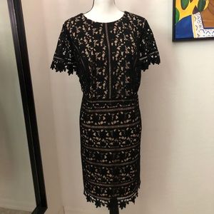 Black Lace Dress, 14WP